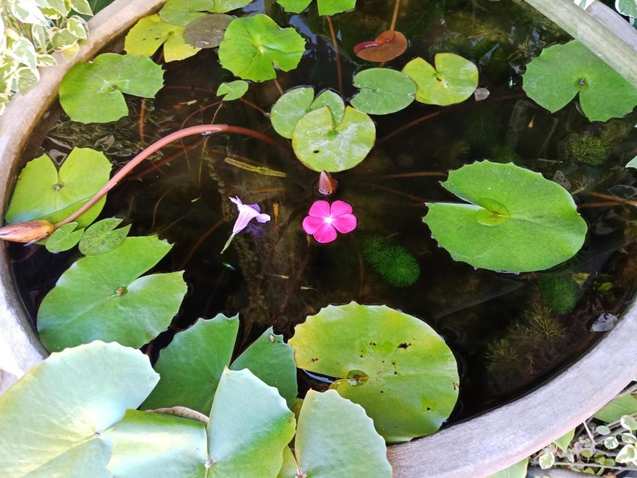 A Lanna Boutique House Hotel Chiang Mai Exterior photo